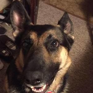 Meet your Posher, Nathan